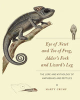 front cover of Eye of Newt and Toe of Frog, Adder's Fork and Lizard's Leg