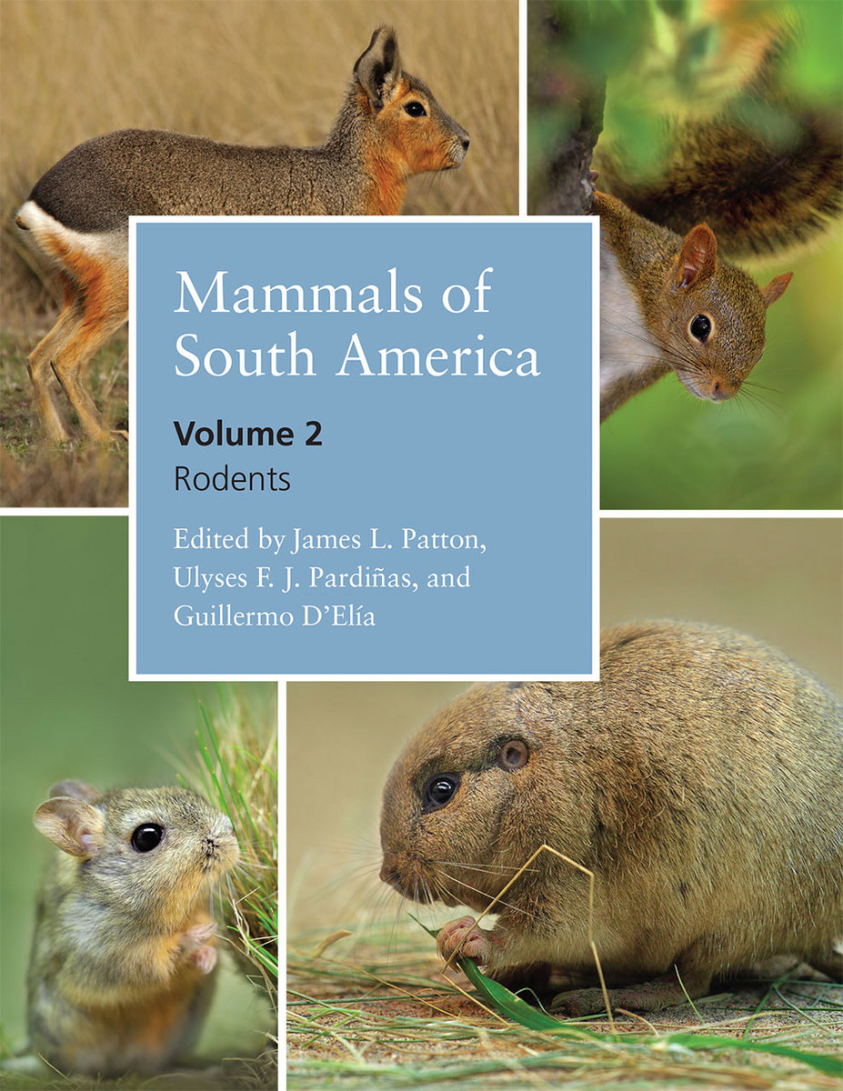 Mammals of South America, Volume 2: Rodents (9780226169576): James L.  Patton, Ulyses F. J. Pardiñas and Guillermo D'Elía - BiblioVault