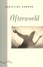 front cover of Afterworld
