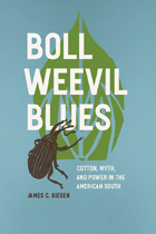 front cover of Boll Weevil Blues