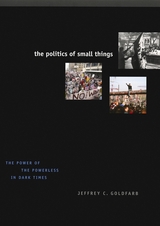 front cover of The Politics of Small Things