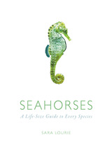 front cover of Seahorses