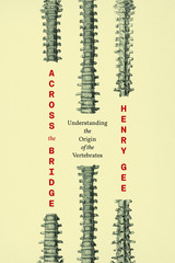 front cover of Across the Bridge