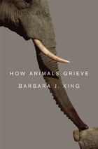 front cover of How Animals Grieve