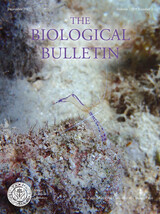 front cover of BBL vol 233 num 3