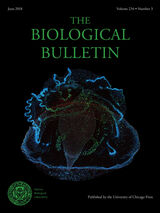 front cover of BBL vol 234 num 3