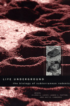 front cover of Life Underground