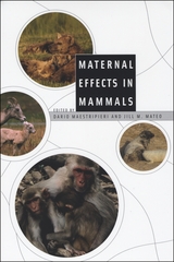 front cover of Maternal Effects in Mammals