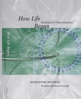 front cover of How Life Began