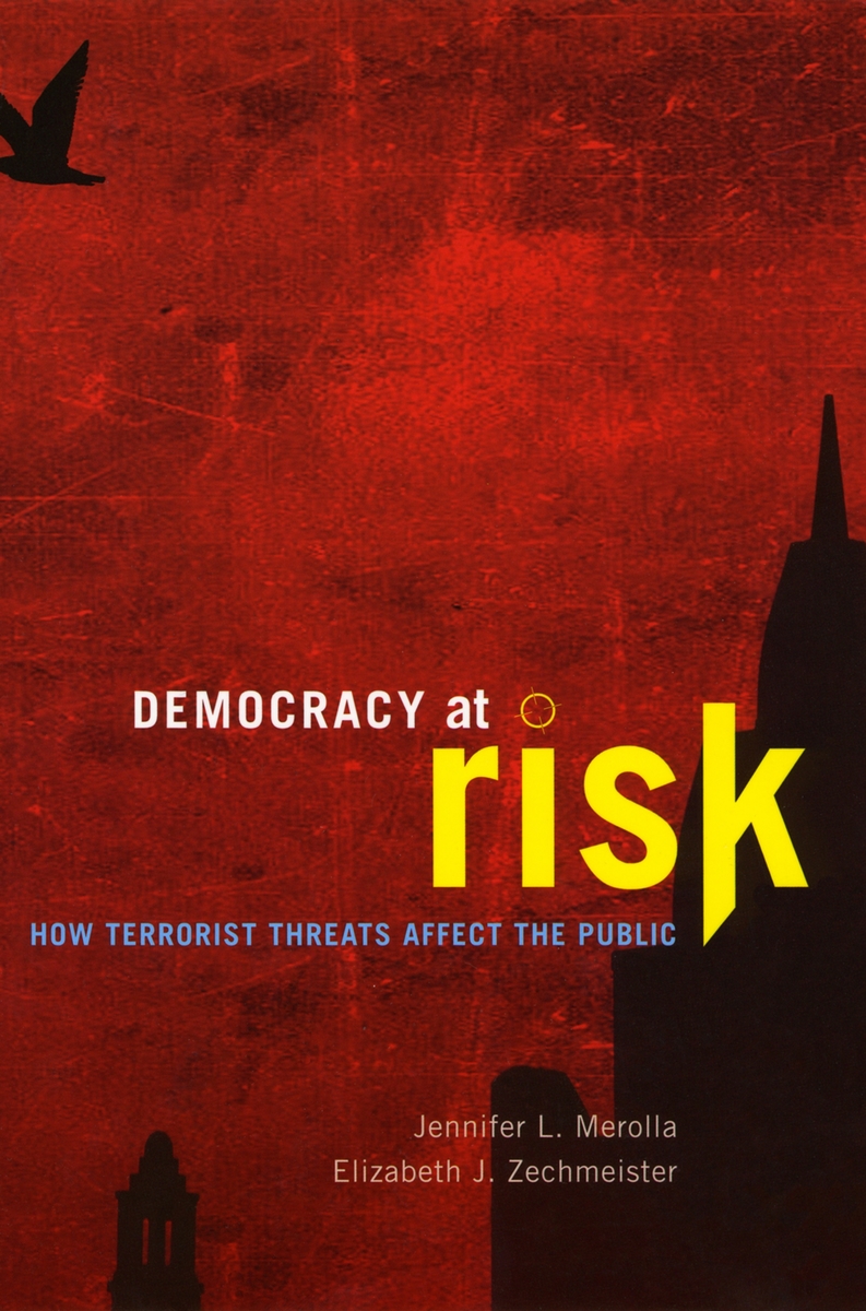 Cover of Democracy at Risk