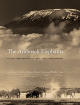 front cover of The Amboseli Elephants