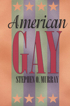 front cover of American Gay
