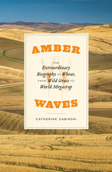 front cover of Amber Waves