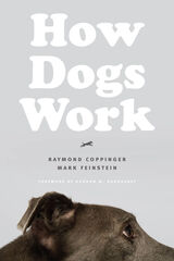 front cover of How Dogs Work