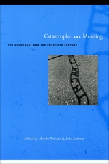 front cover of Catastrophe and Meaning