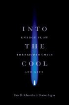 front cover of Into the Cool