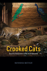front cover of Crooked Cats
