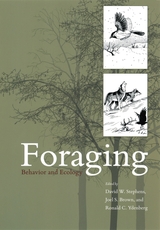 front cover of Foraging