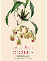 front cover of Extraordinary Orchids