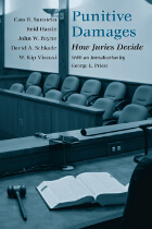 front cover of Punitive Damages