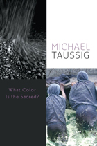 front cover of What Color Is the Sacred?