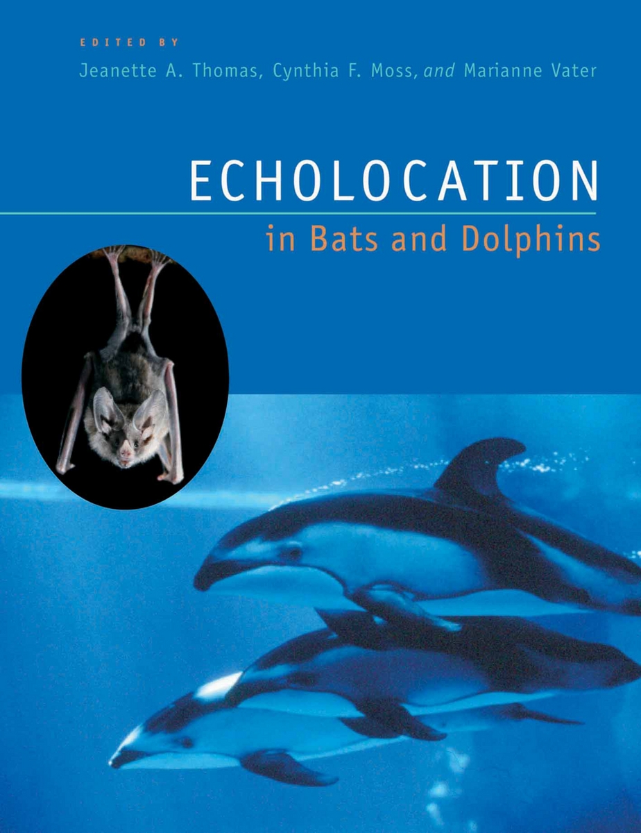Echolocation in Bats and Dolphins