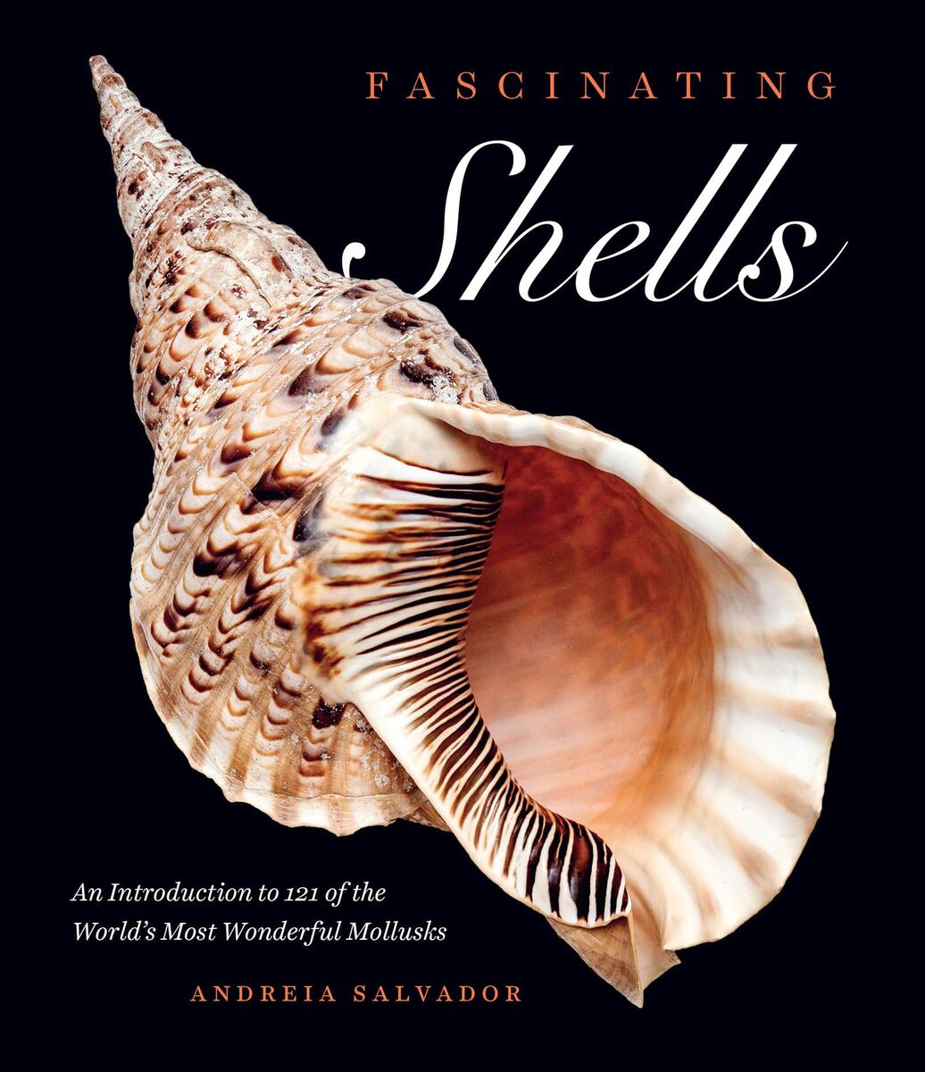 Fascinating Shells: An Introduction to 121 of the World’s Most ...