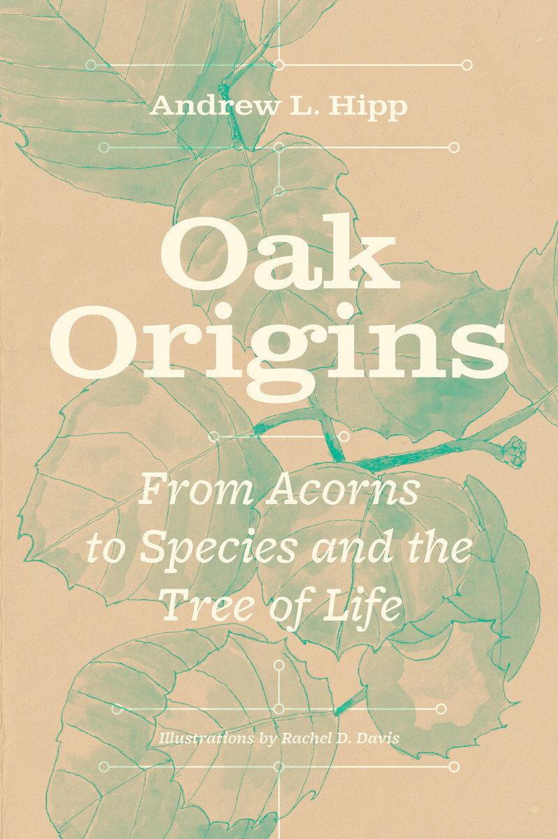 front cover of Oak Origins