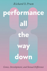 front cover of Performance All the Way Down
