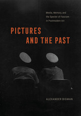 front cover of Pictures and the Past