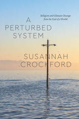 front cover of A Perturbed System
