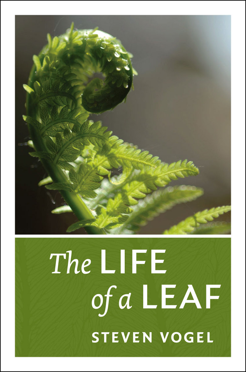 Cover of The Life of a Leaf