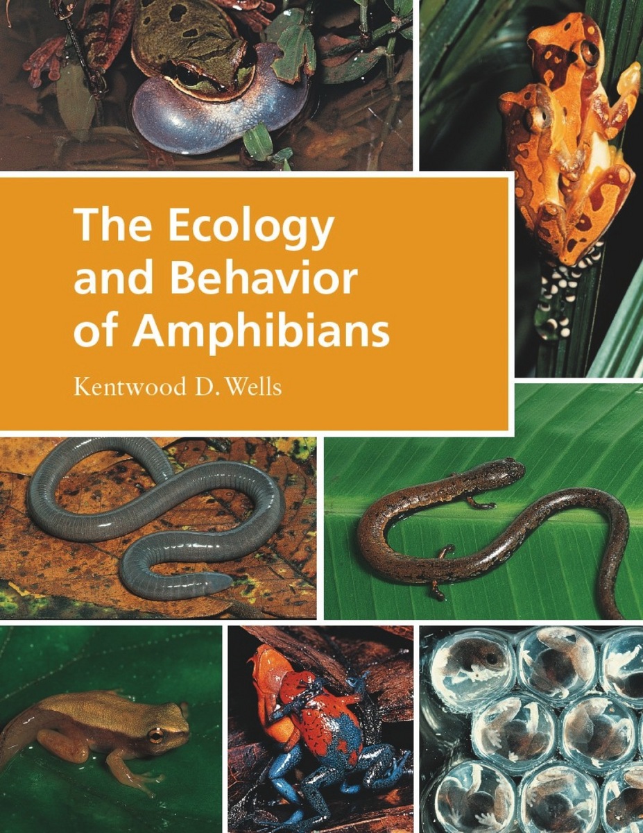 Cover of The Ecology and Behavior of Amphibians