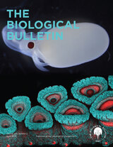 front cover of The Biological Bulletin, volume 244 number 2 (April 2023)