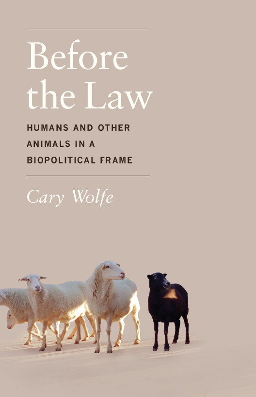 Cover of Before the Law