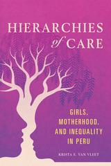 front cover of Hierarchies of Care