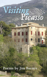 front cover of Visiting Picasso
