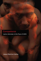front cover of Compañeros
