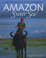 front cover of Amazon Sweet Sea