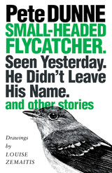 front cover of Small-headed Flycatcher. Seen Yesterday. He Didn’t Leave His Name.