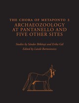 front cover of The Chora of Metaponto 2