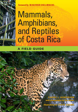 front cover of Mammals, Amphibians, and Reptiles of Costa Rica