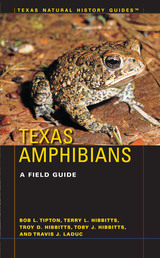 front cover of Texas Amphibians