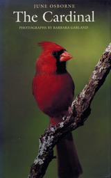 front cover of The Cardinal