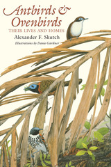 front cover of Antbirds and Ovenbirds