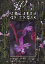 front cover of Wild Orchids of Texas
