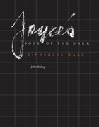 front cover of Joyce's Book of the Dark