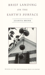 front cover of Brief Landing on the Earth's Surface