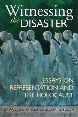 front cover of Witnessing the Disaster