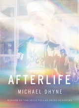 front cover of Afterlife